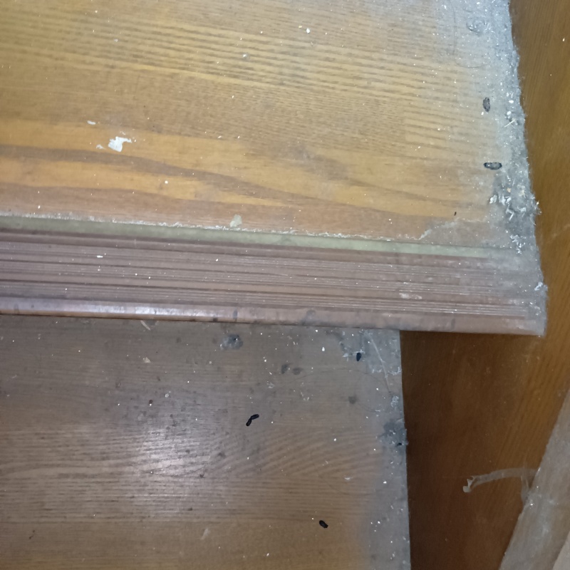 床に除菌剤を散布