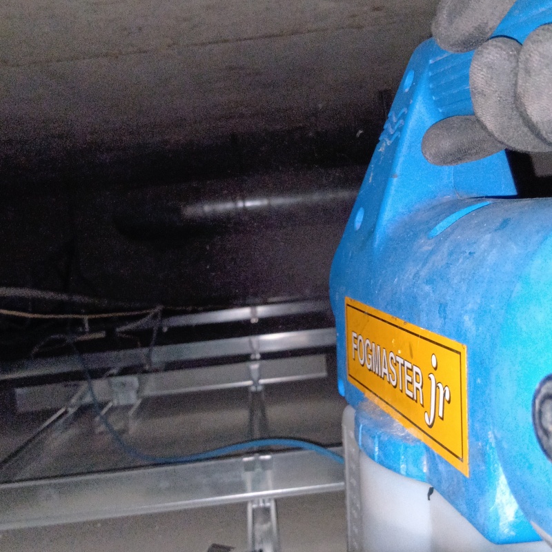 噴霧器で殺虫剤を散布