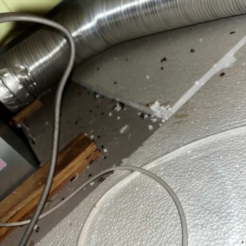 ネズミ駆除の施工事例（埼玉県越谷市）