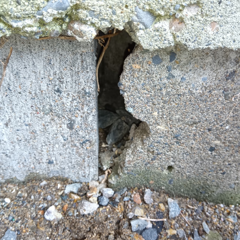 ネズミ駆除の施工事例（新潟県上越市茨沢）