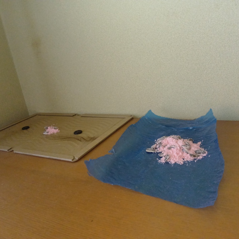 壁際に殺鼠剤と粘着シートを設置