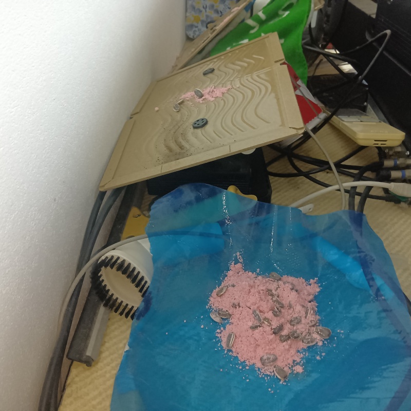 テレビの裏に殺鼠剤と粘着シートを設置