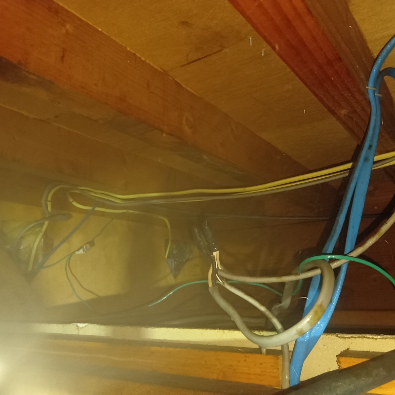 噴霧器で除菌剤を散布