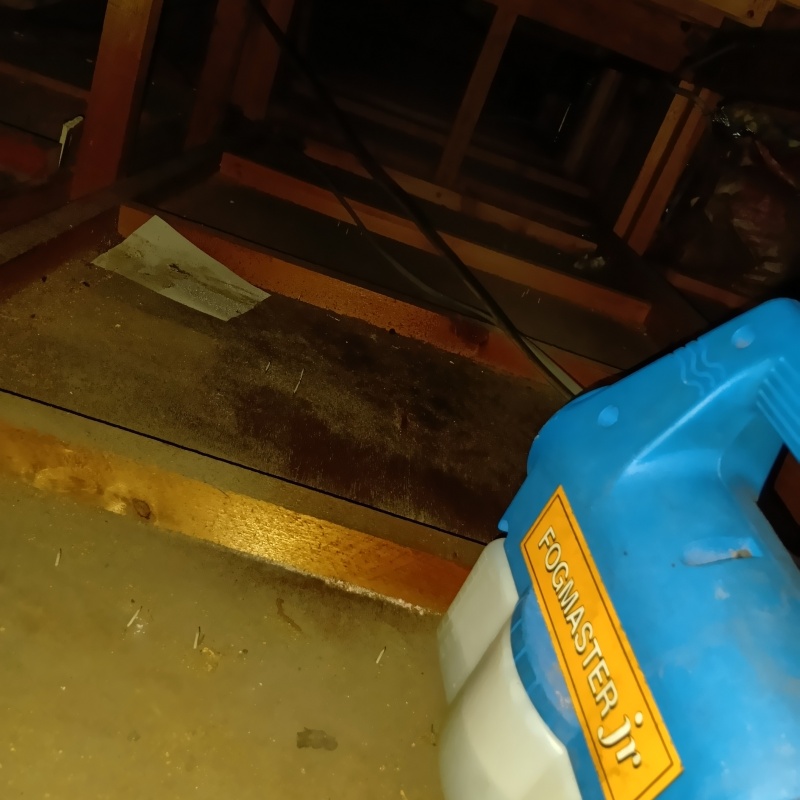 噴霧器で除菌剤を散布