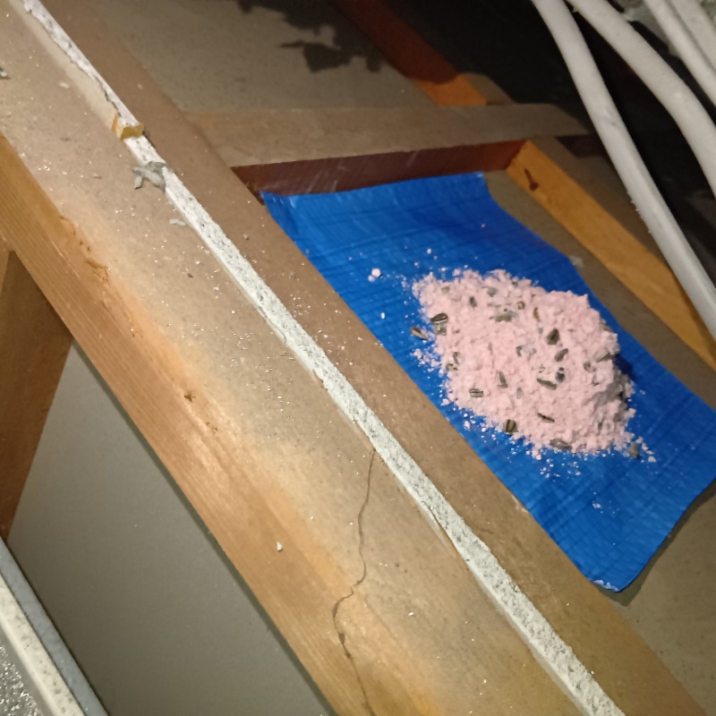 ネズミ駆除の施工事例（宮城県仙台市若林区六丁の目中町）