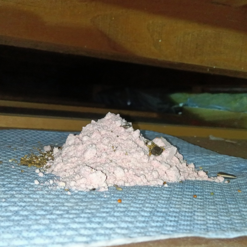 ネズミ駆除の施工事例（神奈川県茅ヶ崎市旭ヶ丘）