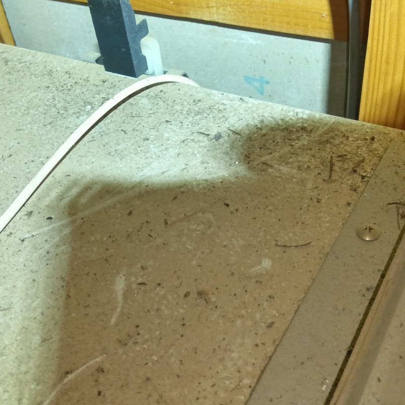 屋根裏のフン汚れ