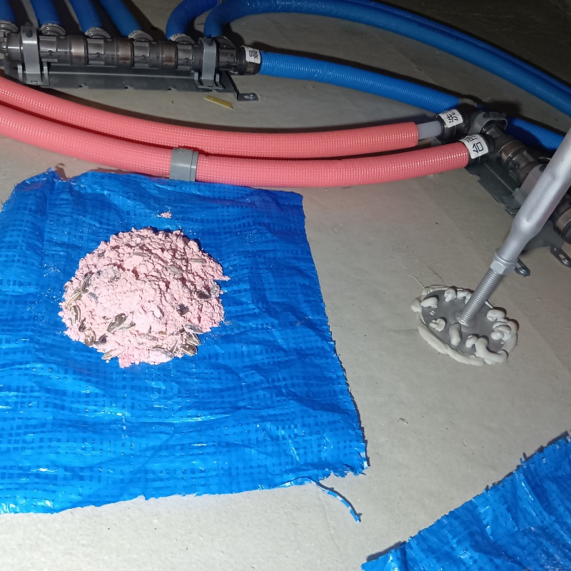 床下に殺鼠剤を設置