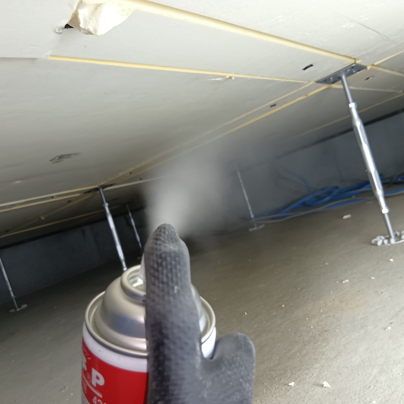 殺虫剤をスプレー