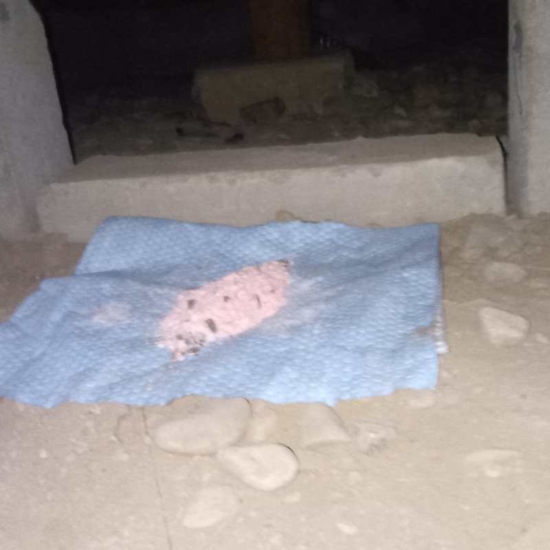 床下に殺鼠剤を設置