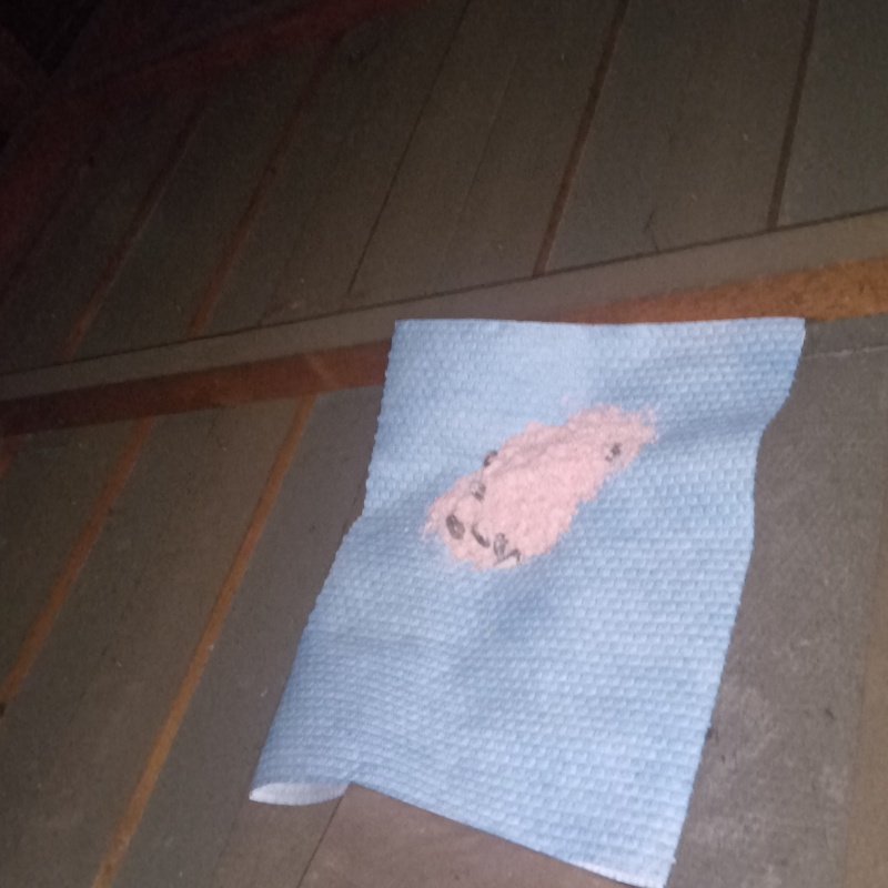 屋根裏に殺鼠剤を設置