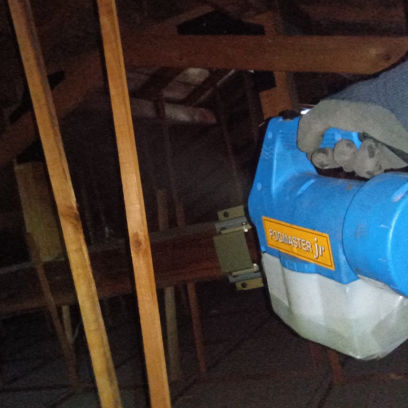 噴霧器で除菌剤を散布