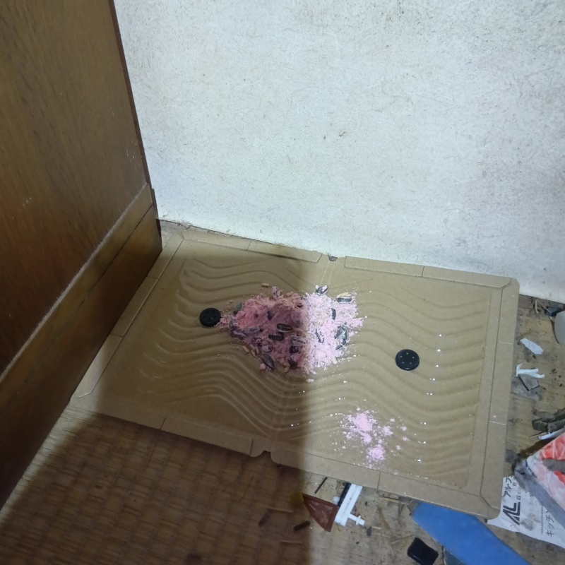 粘着シートの上に殺鼠剤を設置