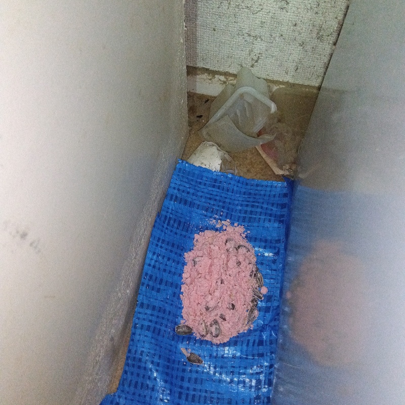 壁と壁の間に殺鼠剤を設置