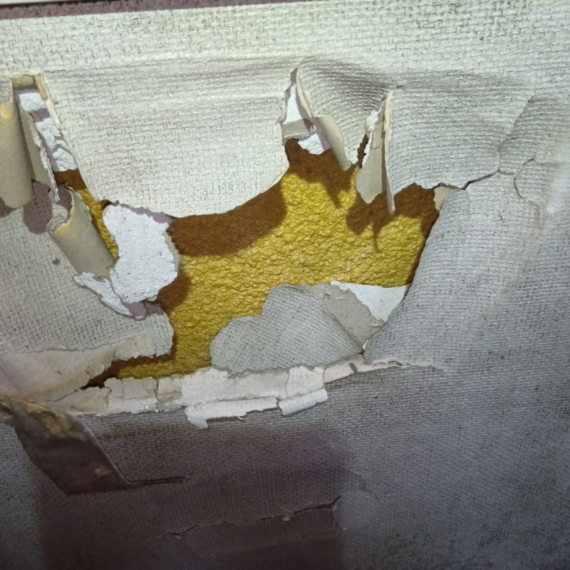 侵入口になっていた壁の破損箇所