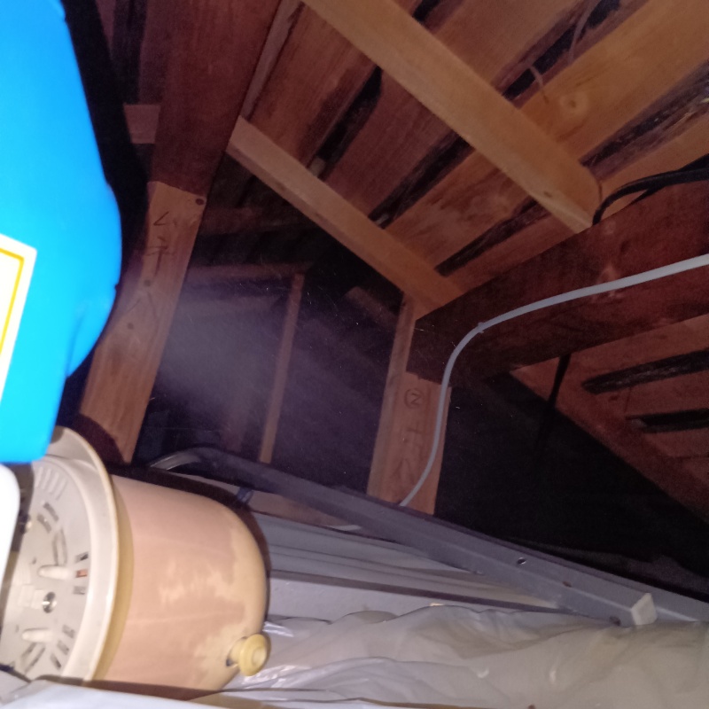 噴霧器で殺虫剤を散布