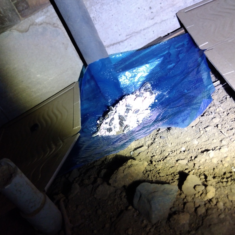 床下に殺鼠剤を設置