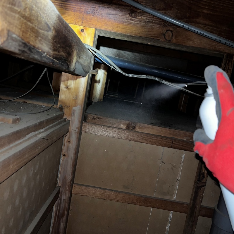 殺虫剤をスプレー