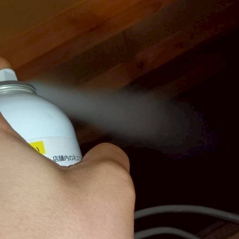 忌避スプレーを散布