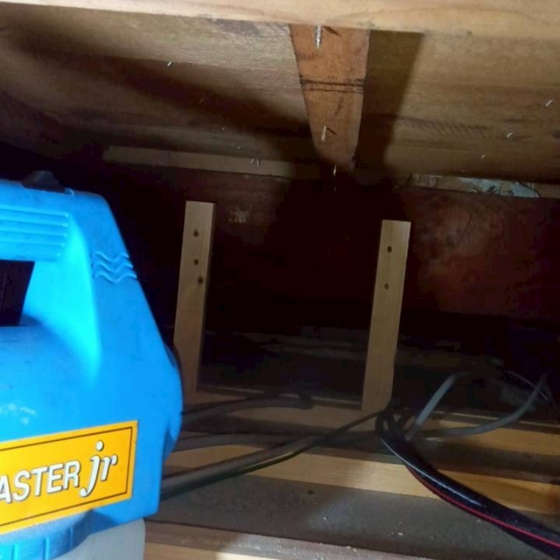 噴霧器で除菌剤を散布