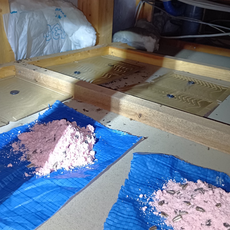 殺鼠剤と粘着シートを設置