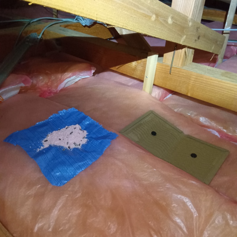 殺鼠剤と粘着シートを設置