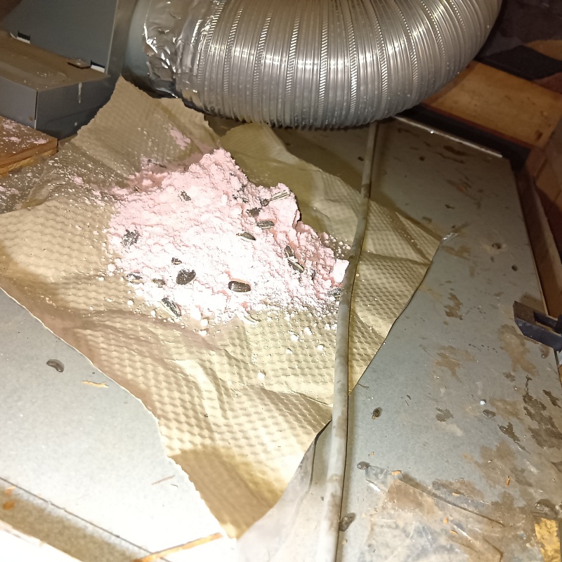 天井裏に殺鼠剤を設置