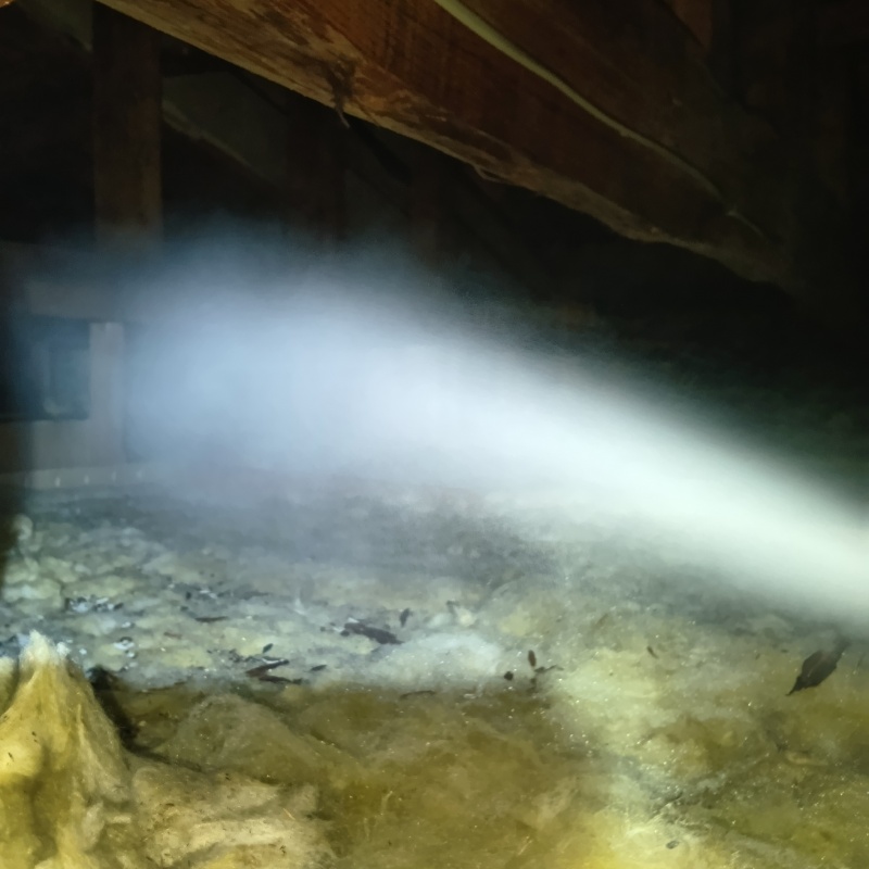 忌避スプレーを散布