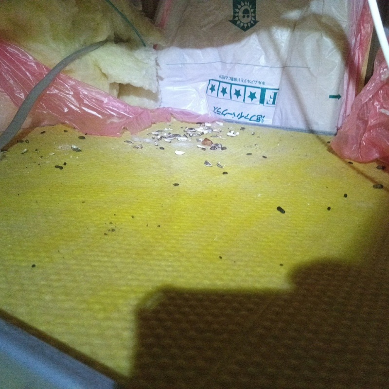 ネズミ駆除の施工事例（山梨県都留市つる）