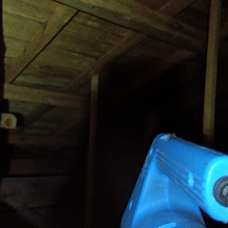 噴霧器で殺虫剤を散布