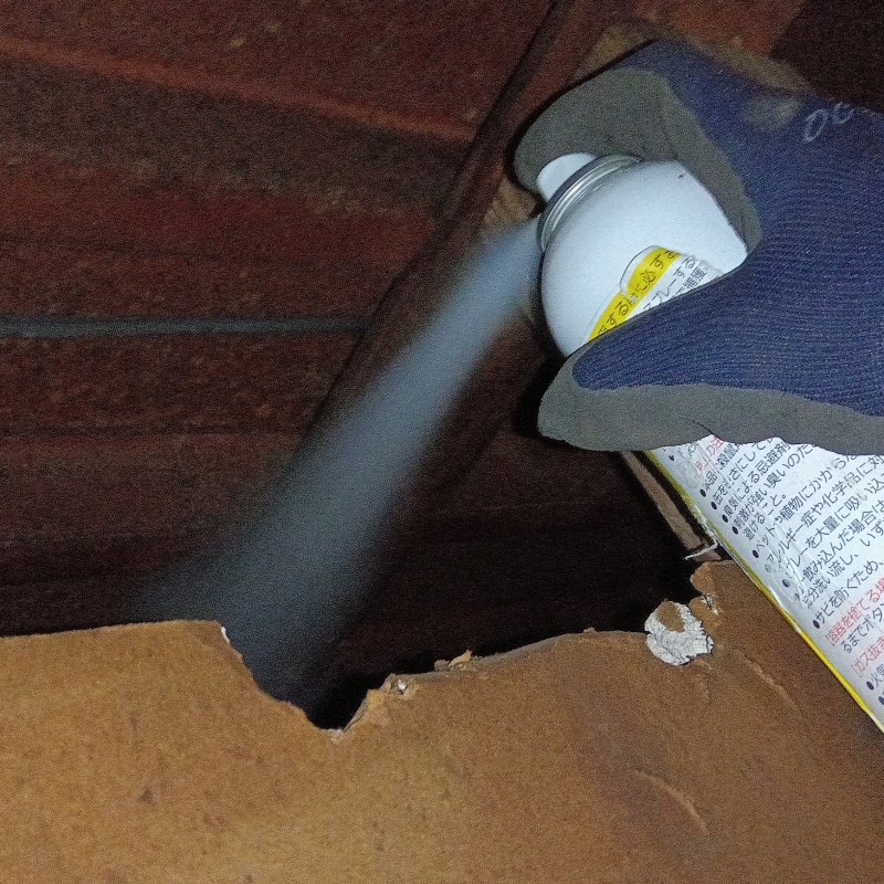 忌避スプレーを散布