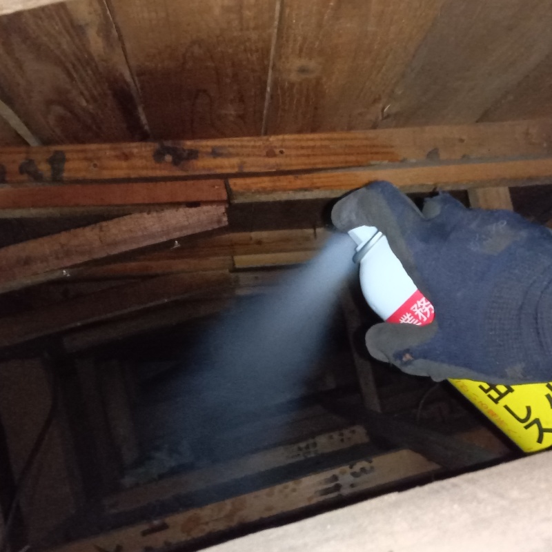 屋根裏に忌避剤をスプレー