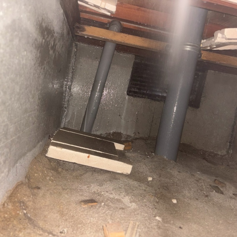 配管周りにシロアリ駆除剤を吹きつける様子