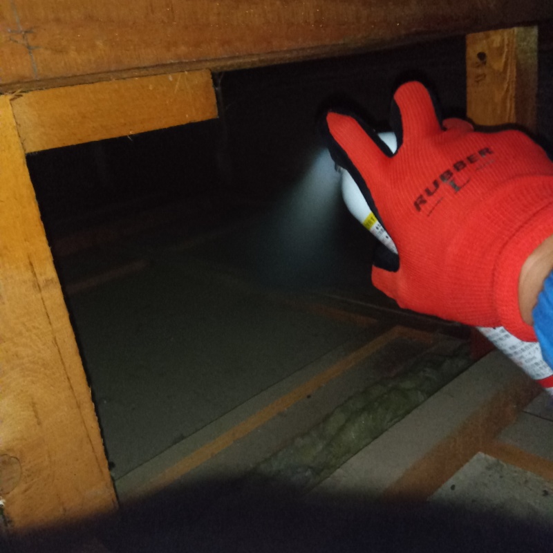 天井裏に忌避剤をスプレー