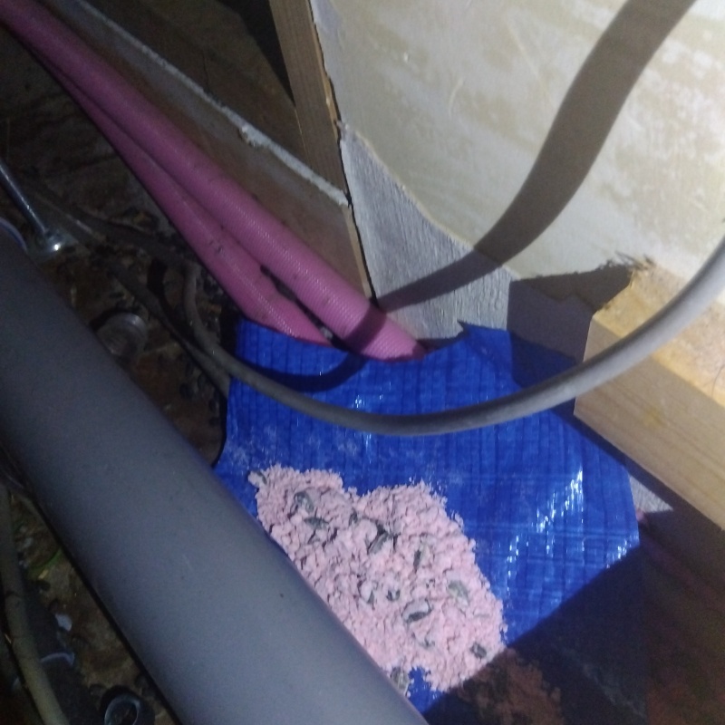 壁と壁の間に殺鼠剤を設置