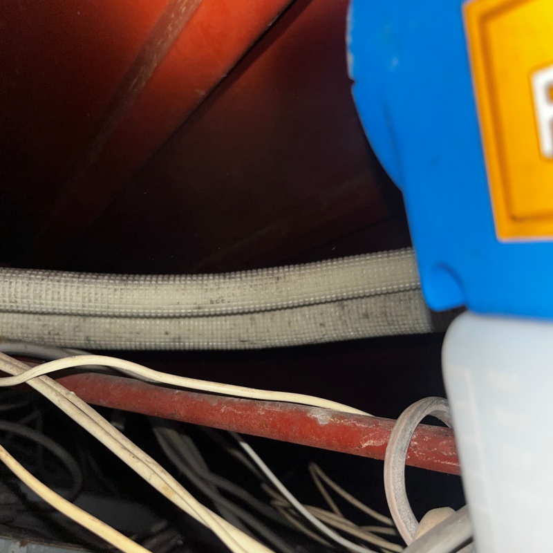 噴霧器で除菌剤を散布