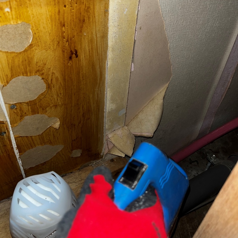 噴霧器で除菌剤を散布