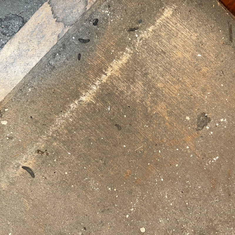 ネズミ駆除の施工事例（埼玉県入間市高倉）