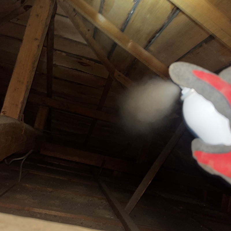 忌避スプレーを散布