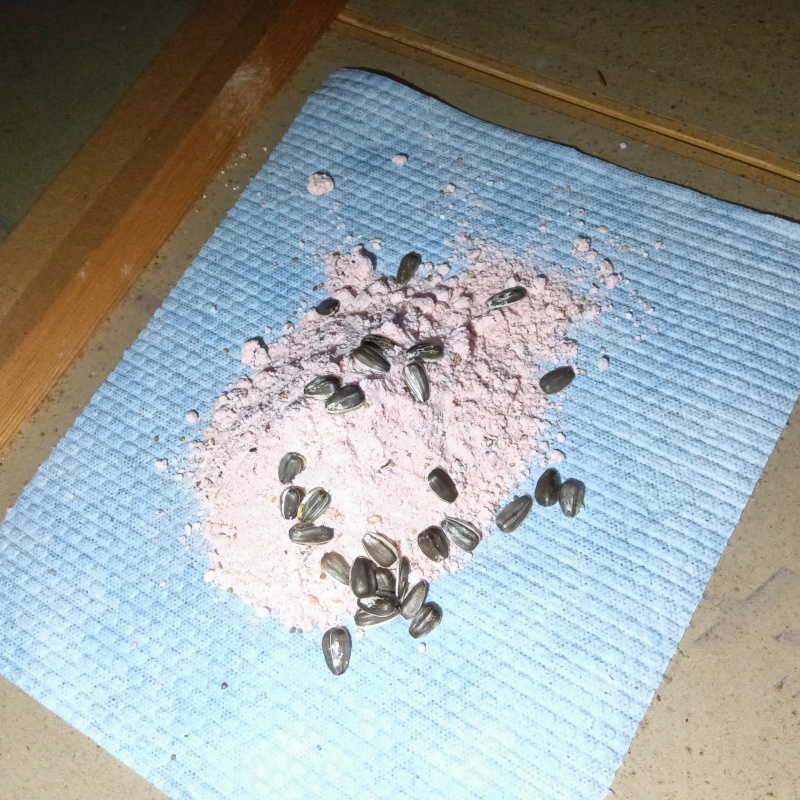 ネズミ駆除の施工事例（東京都葛飾区西亀有）