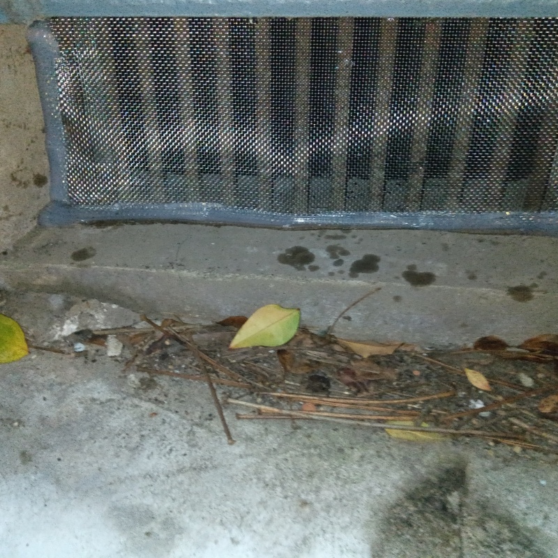 床下換気口をネットとパテで封鎖