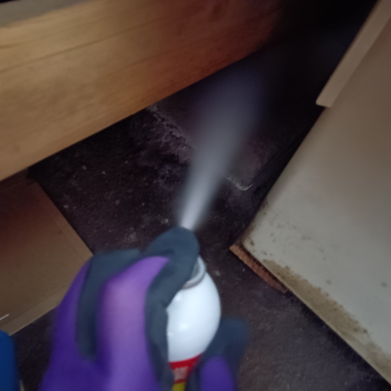 ネズミ駆除の施工事例（東京都町田市旭町）