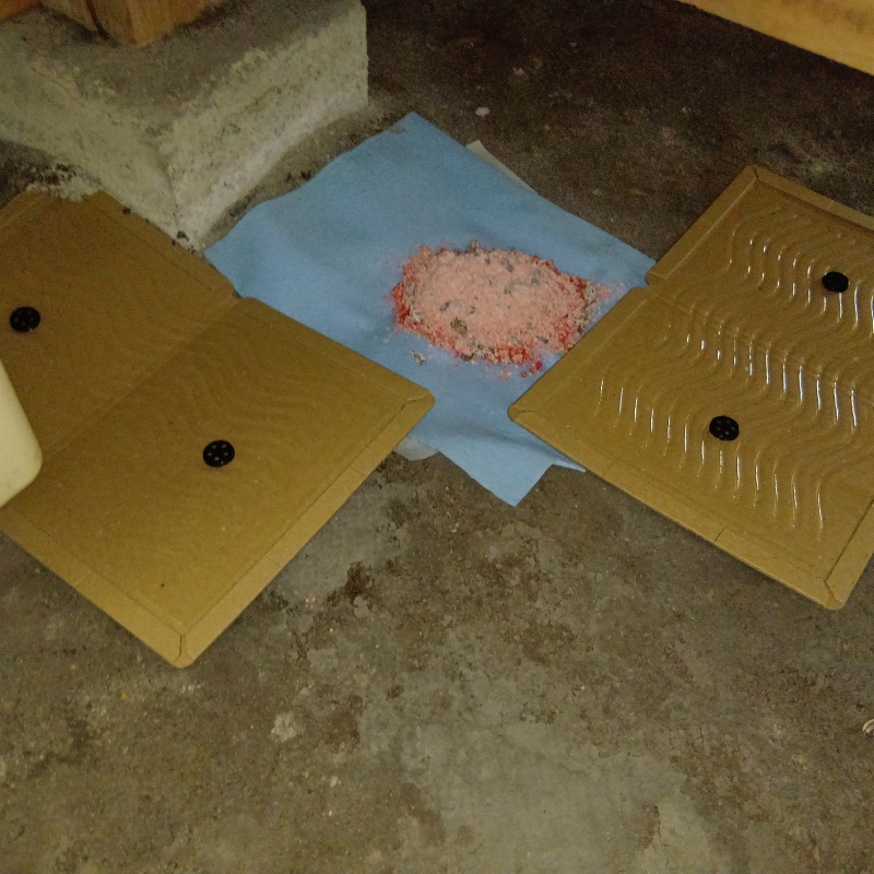 床下に殺鼠剤と粘着シートを設置