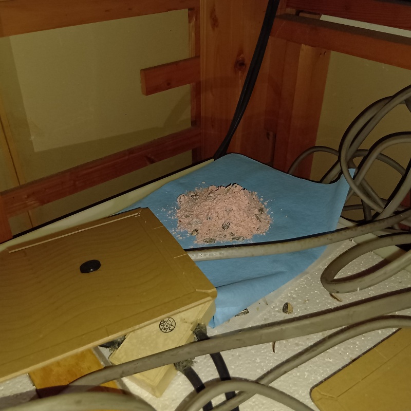 天井裏に殺鼠剤と粘着シートを設置