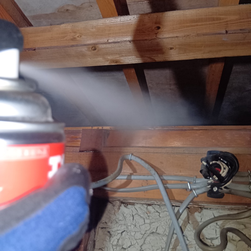 殺虫剤をスプレー