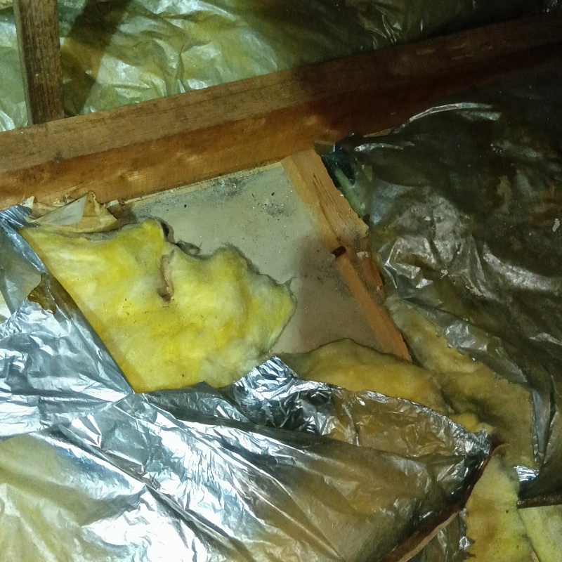 ネズミ駆除の施工事例（神奈川県小田原市荻窪）