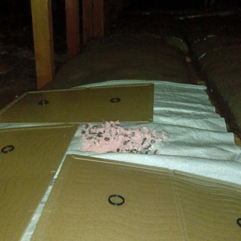 殺鼠剤のまわりに粘着シートを敷き詰めた様子