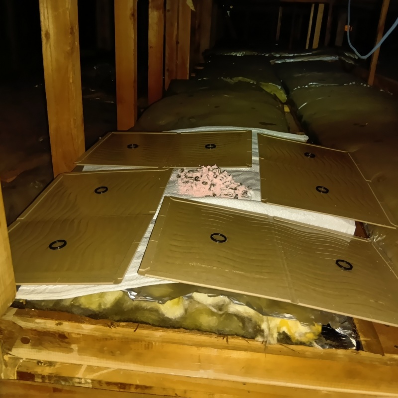 殺鼠剤のまわりに粘着シートを敷き詰めた様子