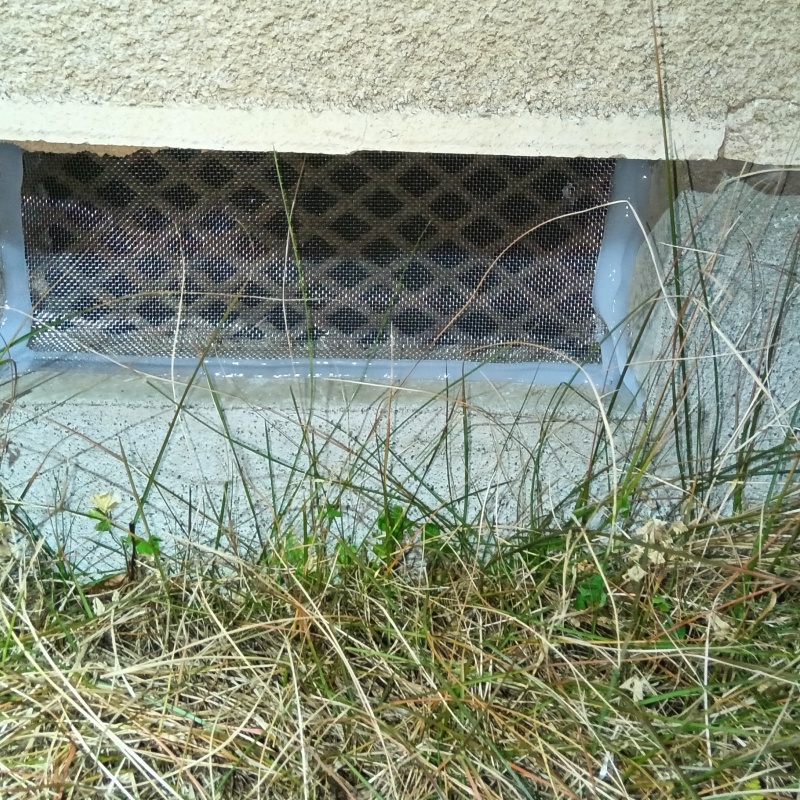 床下換気口をネットとパテで封鎖