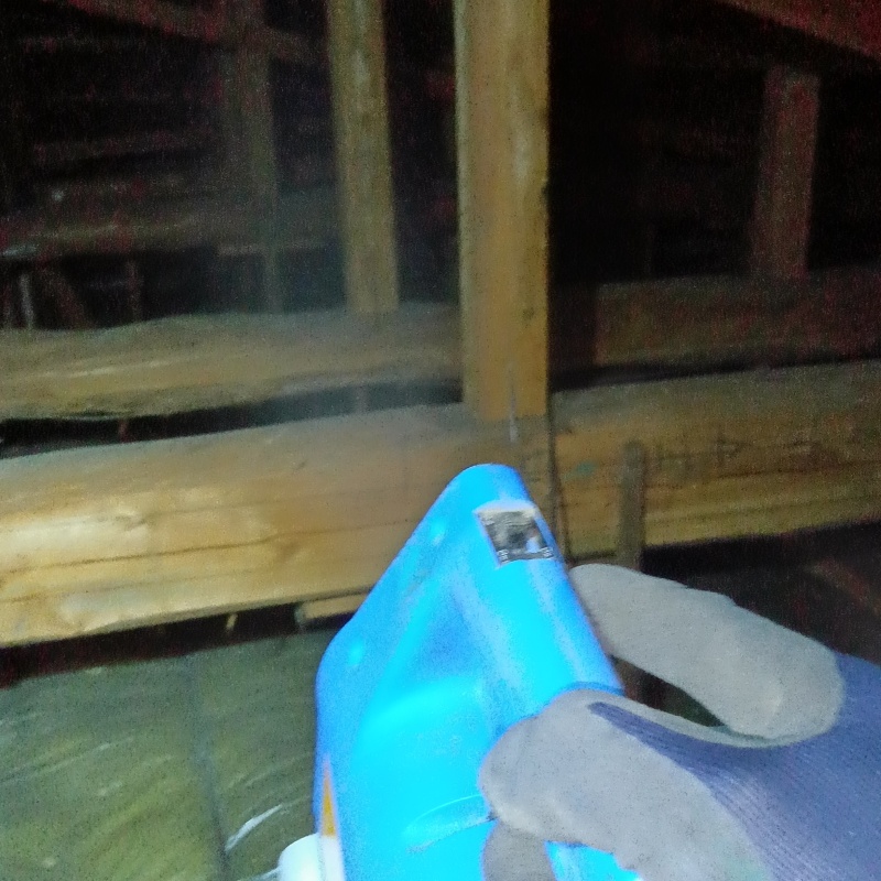 噴霧器で殺虫剤を散布